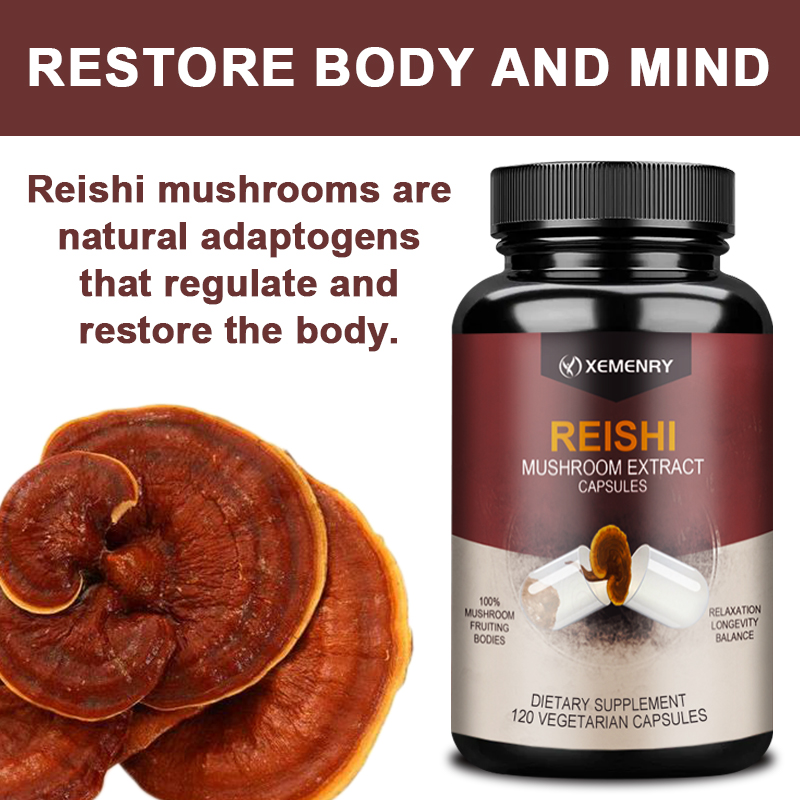 Reishi 캡슐 - 스트레스 해소, 수면 및 인지 기 - Tulsi Holy Basil 리뷰 및 가격
