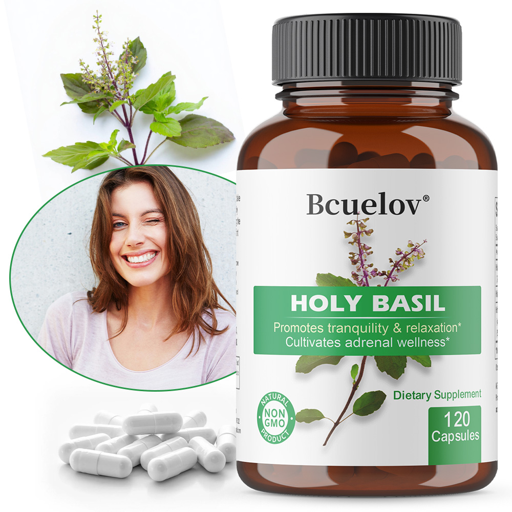 홀리 바질 툴시 추출물 캡슐, 아드레날, 면역, 호흡기 - Tulsi Holy Basil 리뷰 및 가격