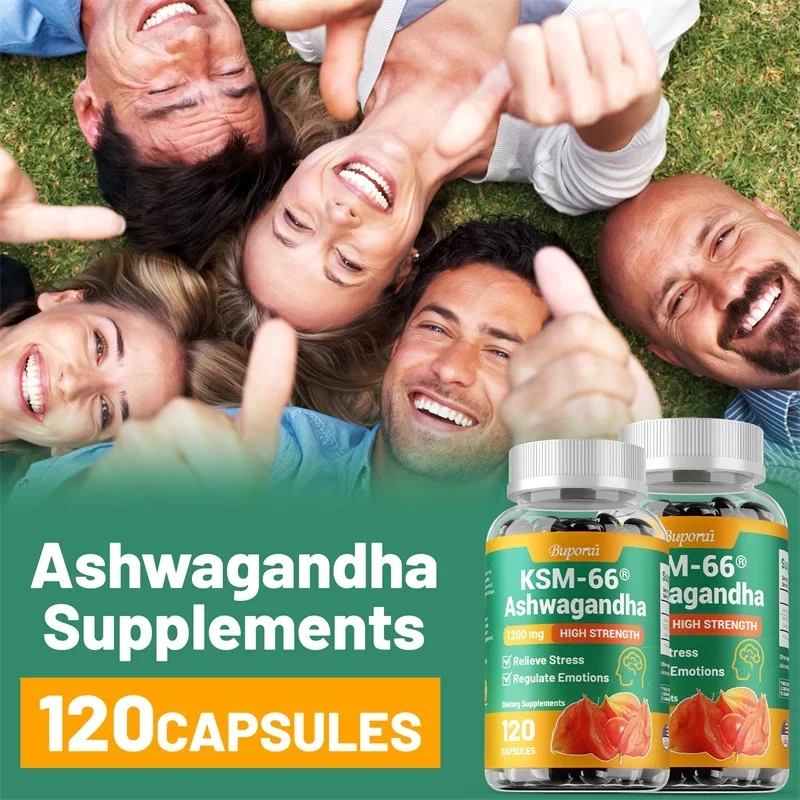 KSM-66 Ashwagandha 추출물 캡슐 - 스트 - Tulsi Holy Basil 리뷰 및 가격
